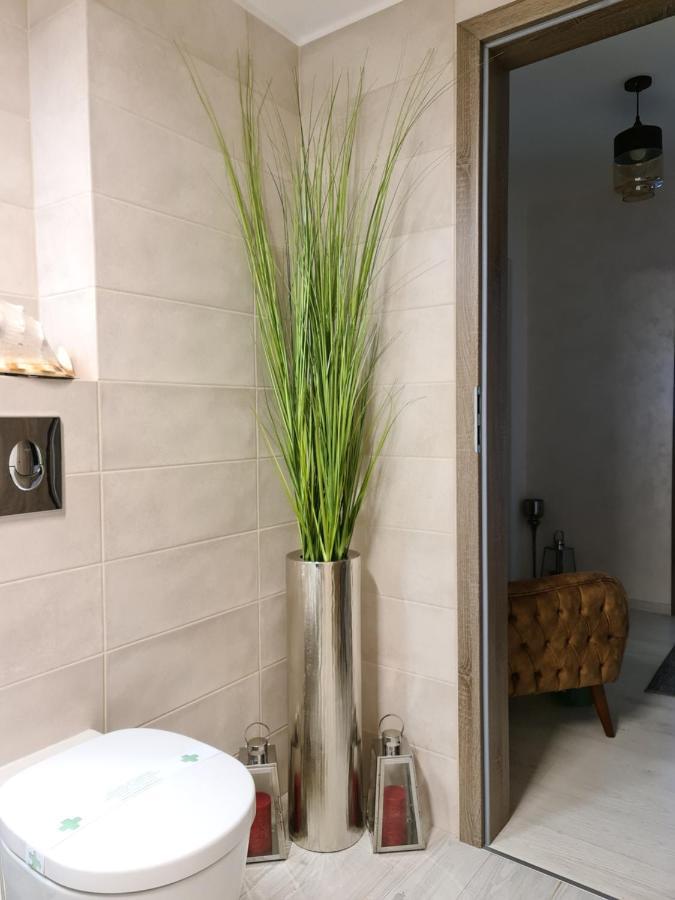 Apartment Alonisos Lux 브라쇼브 외부 사진