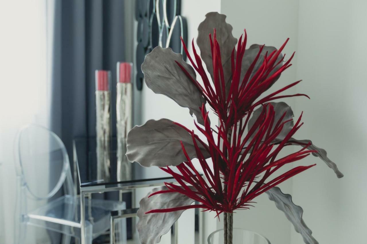 Apartment Alonisos Lux 브라쇼브 외부 사진