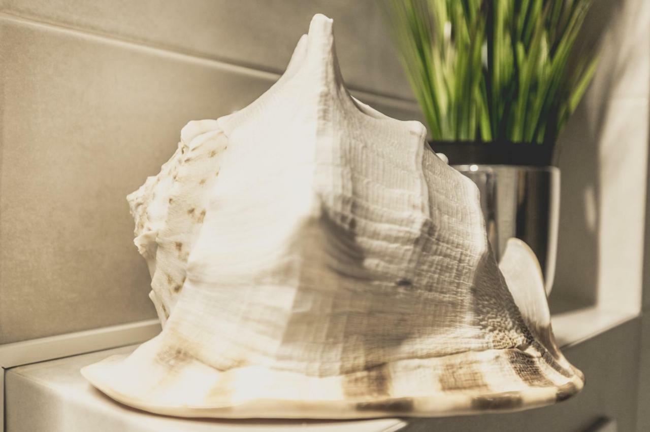 Apartment Alonisos Lux 브라쇼브 외부 사진